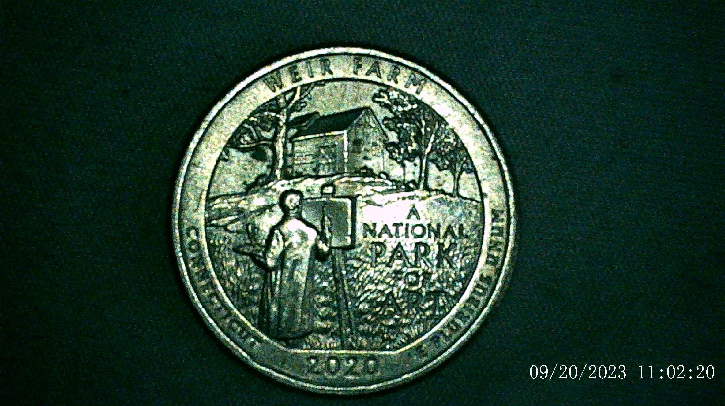 2020-P-Weir-Farms-Quarter-With-Black-Spots-Beehive
